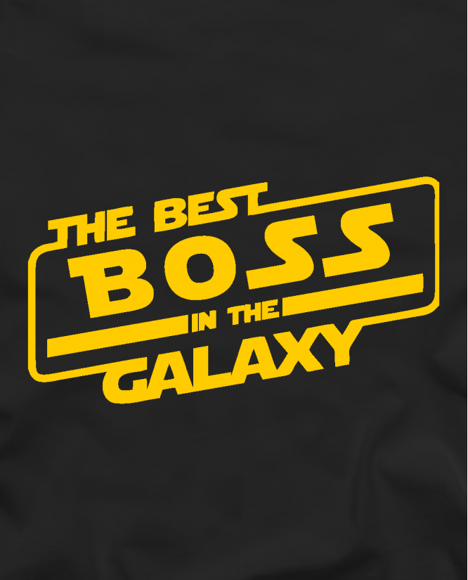  The best boss in the galaxy